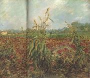 Vincent Van Gogh Green Ears of Wheat (nn04) china oil painting artist